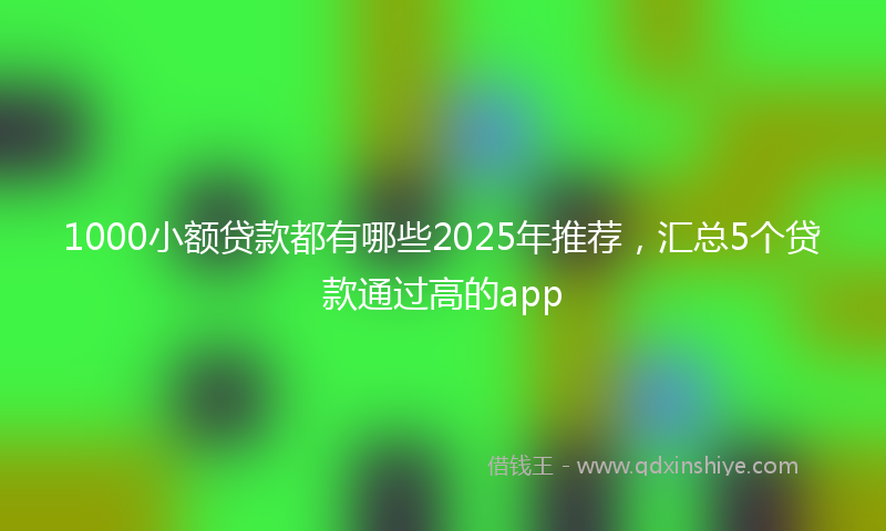 1000小额贷款都有哪些2025年推荐，汇总5个贷款通过高的app