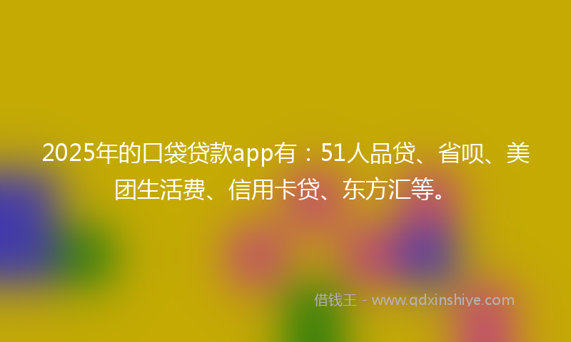 2025年的口袋贷款app有：51人品贷、省呗、美团生活费、信用卡贷、东方汇等。