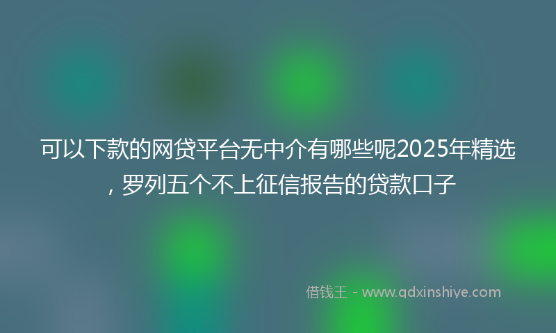 可以下款的网贷平台无中介有哪些呢2025年精选，罗列五个不上征信报告的贷款口子