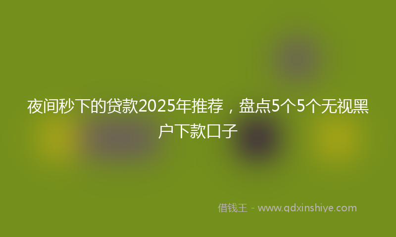 夜间秒下的贷款2025年推荐，盘点5个5个无视黑户下款口子