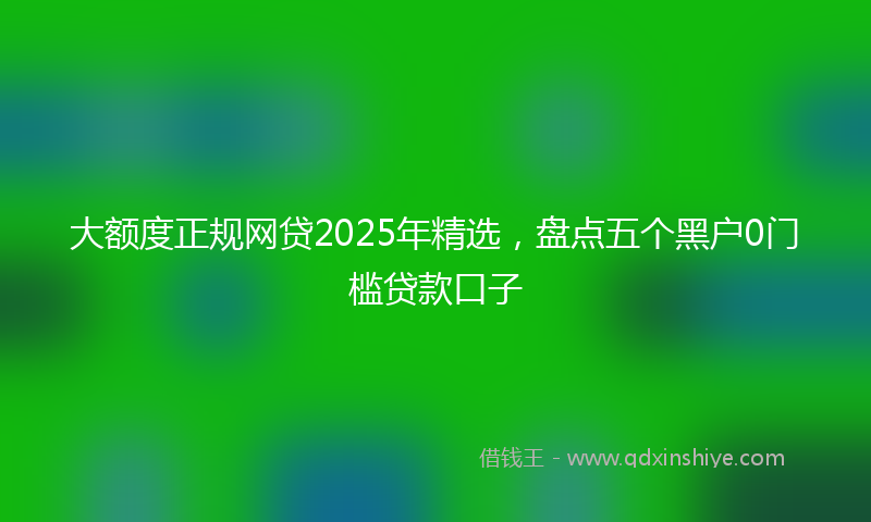 大额度正规网贷2025年精选，盘点五个黑户0门槛贷款口子