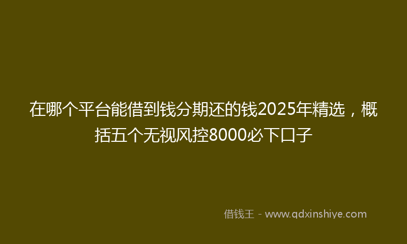 在哪个平台能借到钱分期还的钱2025年精选，概括五个无视风控8000必下口子