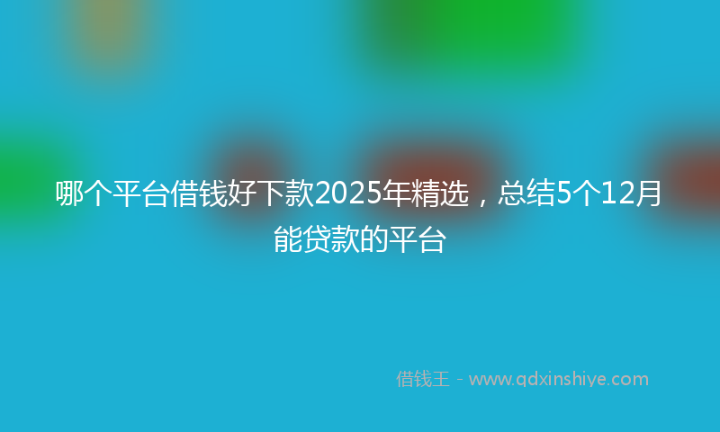 哪个平台借钱好下款2025年精选，总结5个12月能贷款的平台