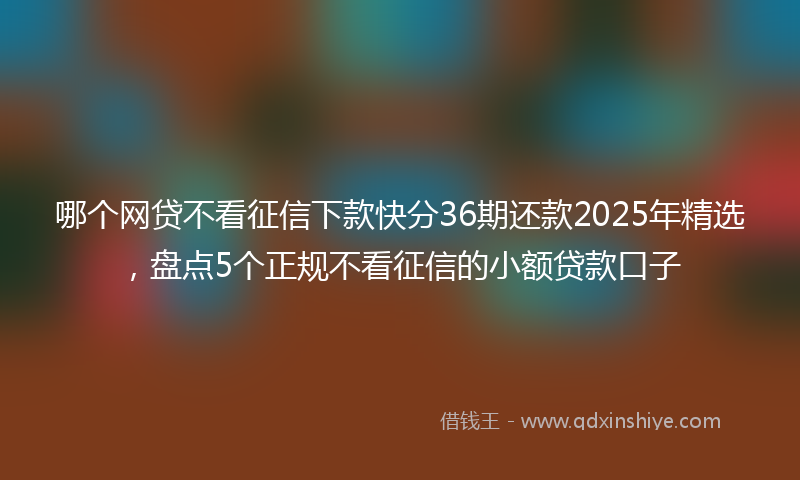 哪个网贷不看征信下款快分36期还款2025年精选，盘点5个正规不看征信的小额贷款口子