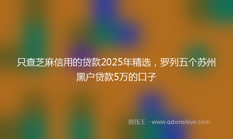 只查芝麻信用的贷款2025年精选，罗列五个苏州黑户贷款5万的口子
