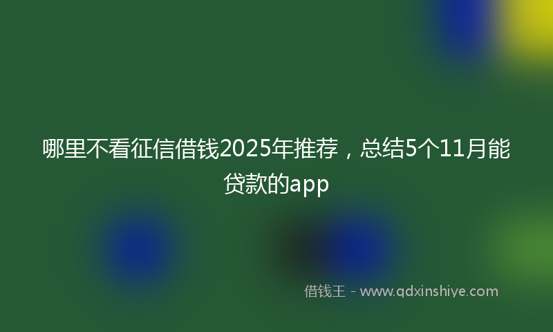 哪里不看征信借钱2025年推荐，总结5个11月能贷款的app