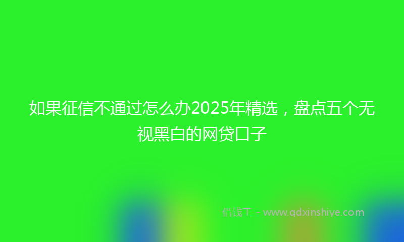 如果征信不通过怎么办2025年精选，盘点五个无视黑白的网贷口子