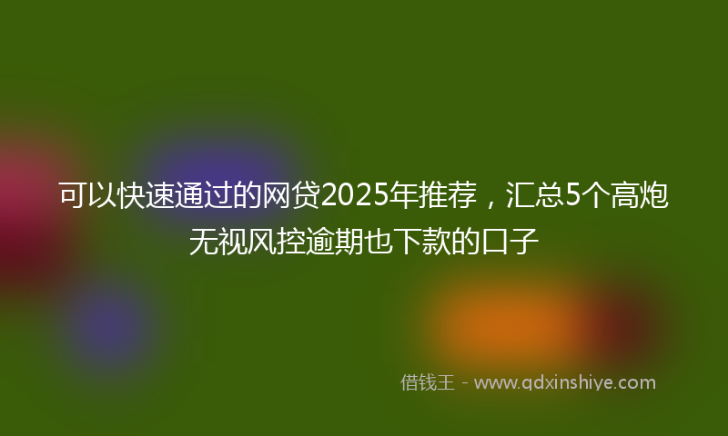 可以快速通过的网贷2025年推荐，汇总5个高炮无视风控逾期也下款的口子