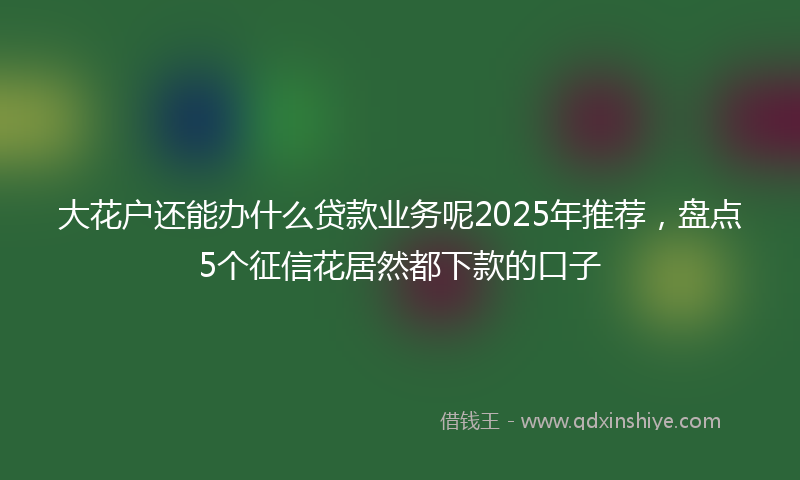 大花户还能办什么贷款业务呢2025年推荐，盘点5个征信花居然都下款的口子