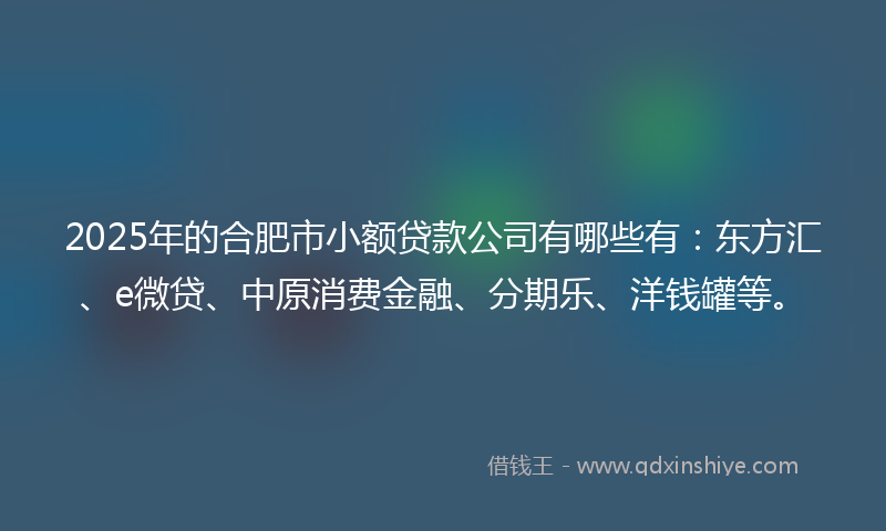 2025年的合肥市小额贷款公司有哪些有：东方汇、e微贷、中原消费金融、分期乐、洋钱罐等。