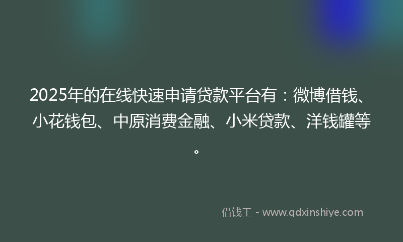 2025年的在线快速申请贷款平台有：微博借钱、小花钱包、中原消费金融、小米贷款、洋钱罐等。