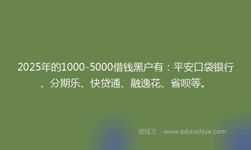 2025年的1000-5000借钱黑户有：平安口袋银行、分期乐、快贷通、融逸花、省呗等。