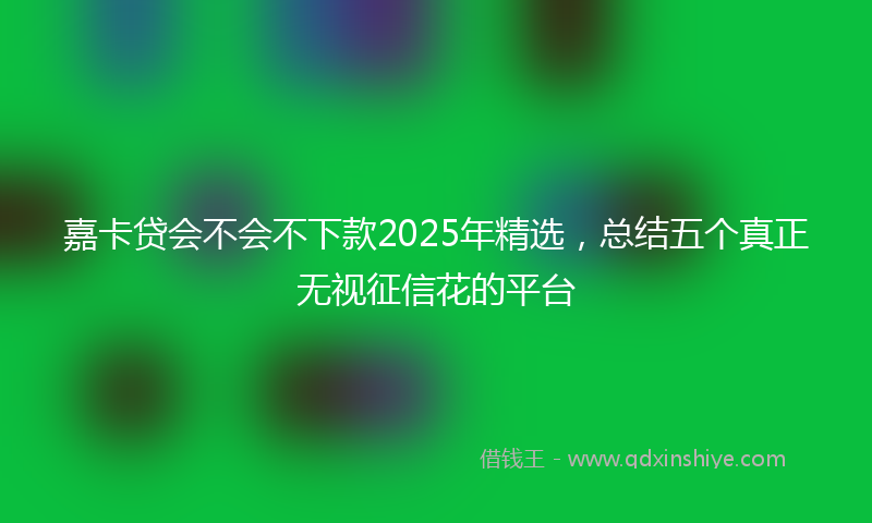 嘉卡贷会不会不下款2025年精选，总结五个真正无视征信花的平台