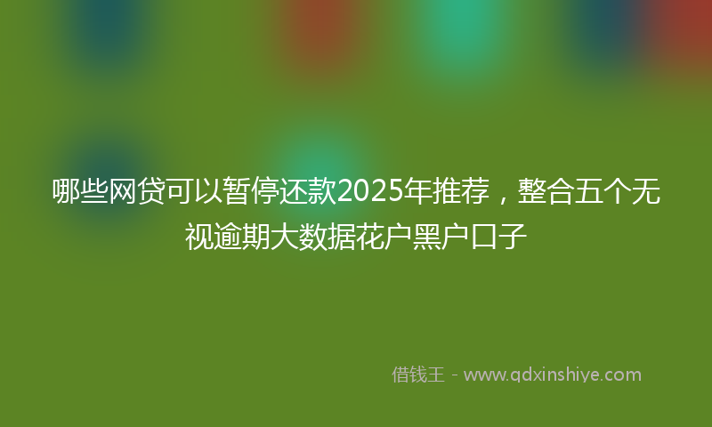 哪些网贷可以暂停还款2025年推荐，整合五个无视逾期大数据花户黑户口子
