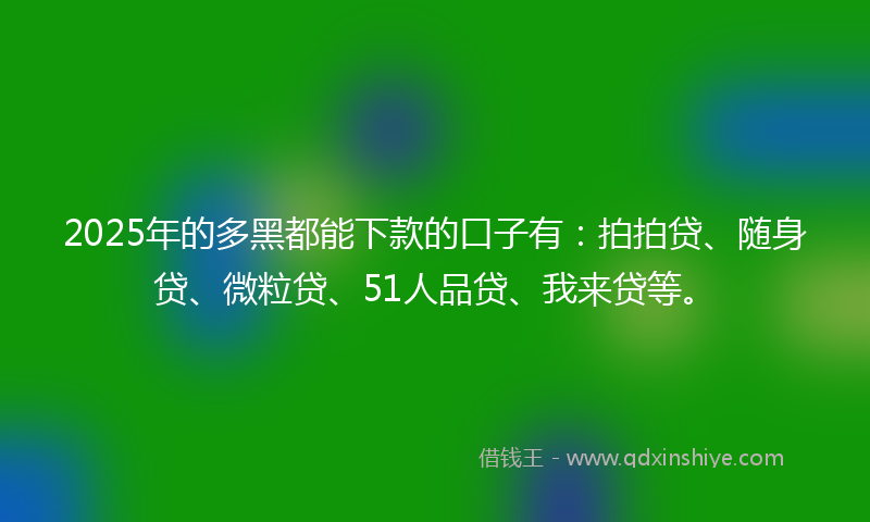 2025年的多黑都能下款的口子有：拍拍贷、随身贷、微粒贷、51人品贷、我来贷等。