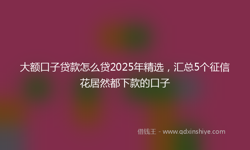 大额口子贷款怎么贷2025年精选，汇总5个征信花居然都下款的口子