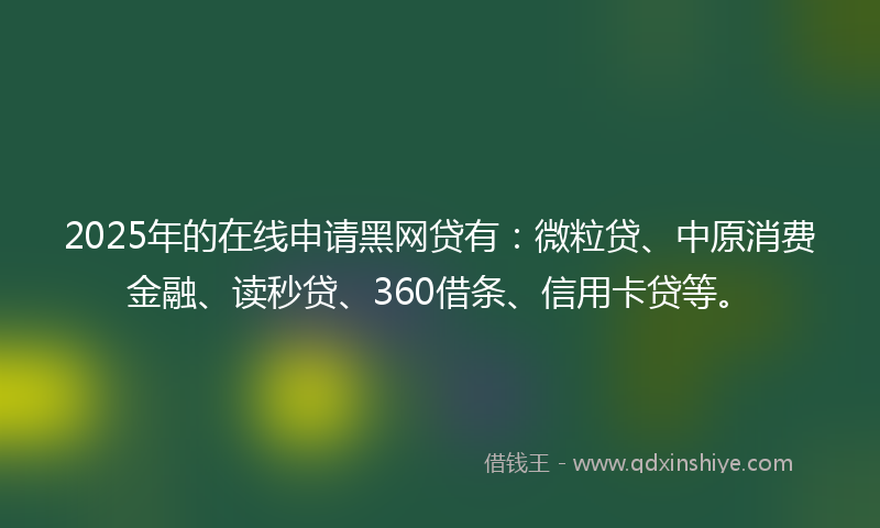 2025年的在线申请黑网贷有：微粒贷、中原消费金融、读秒贷、360借条、信用卡贷等。