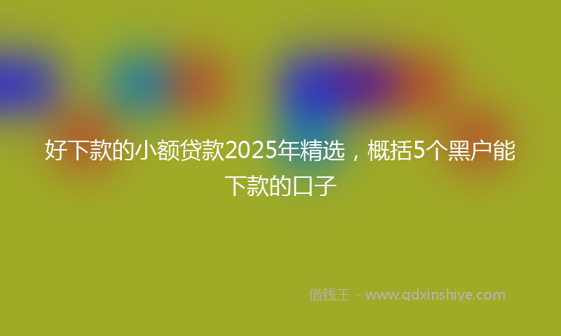 好下款的小额贷款2025年精选，概括5个黑户能下款的口子