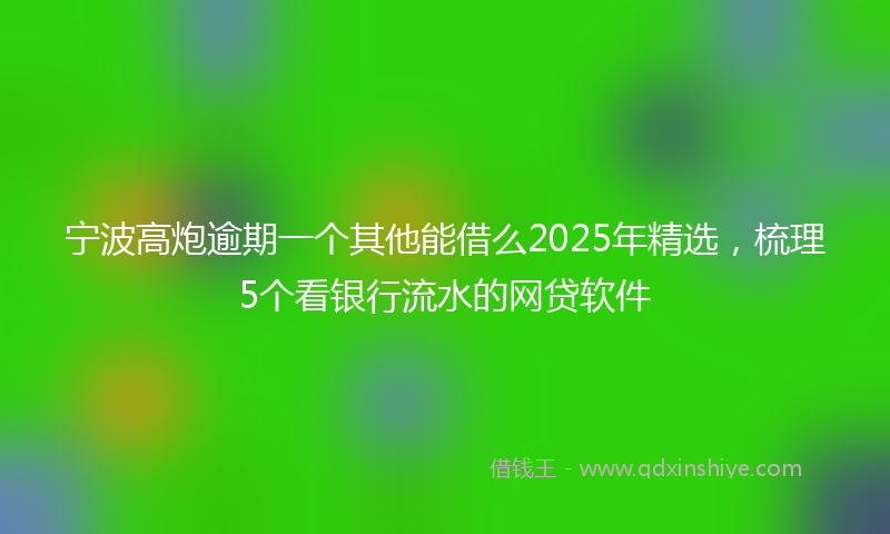 宁波高炮逾期一个其他能借么2025年精选，梳理5个看银行流水的网贷软件