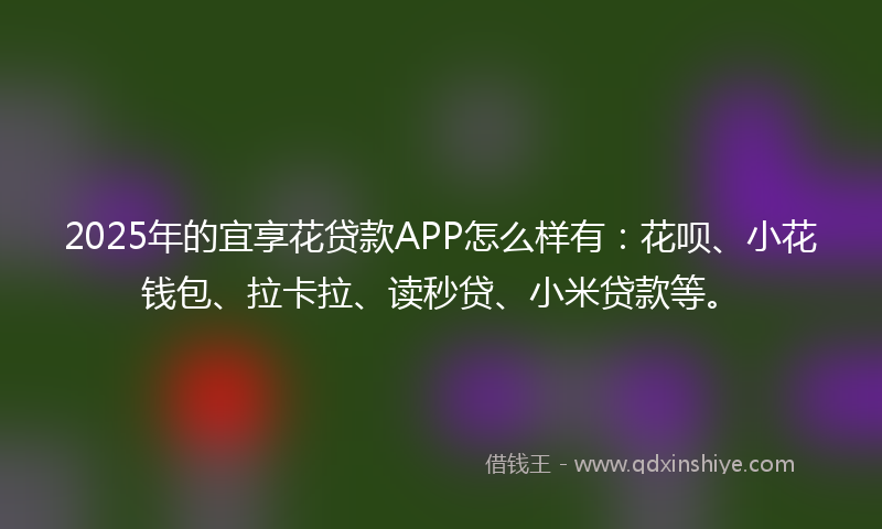 2025年的宜享花贷款APP怎么样有：花呗、小花钱包、拉卡拉、读秒贷、小米贷款等。