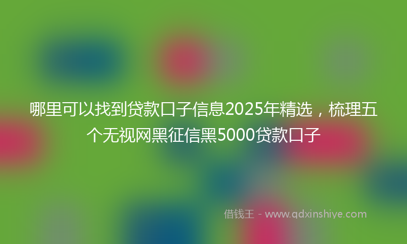 哪里可以找到贷款口子信息2025年精选，梳理五个无视网黑征信黑5000贷款口子
