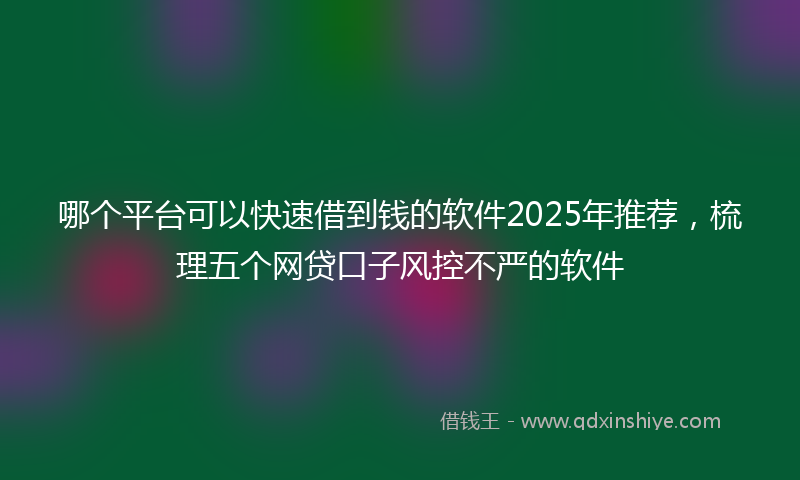 哪个平台可以快速借到钱的软件2025年推荐，梳理五个网贷口子风控不严的软件
