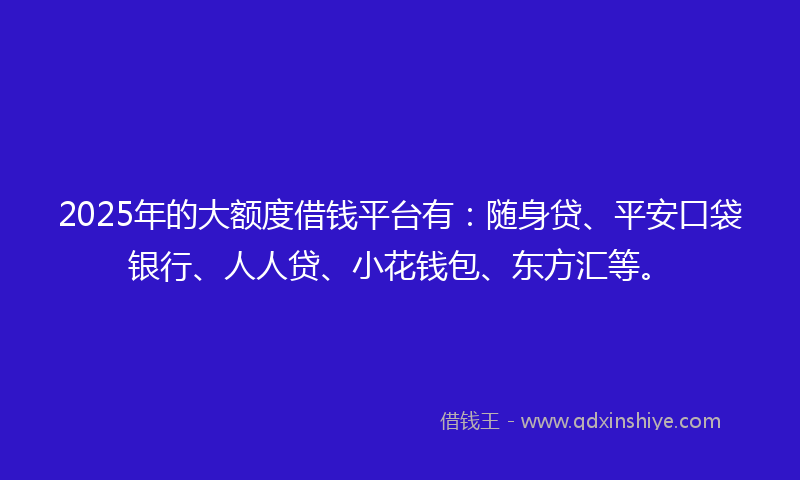 2025年的大额度借钱平台有：随身贷、平安口袋银行、人人贷、小花钱包、东方汇等。