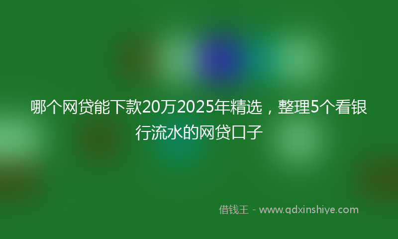哪个网贷能下款20万2025年精选，整理5个看银行流水的网贷口子