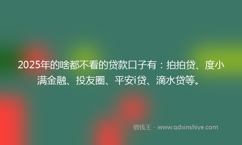 2025年的啥都不看的贷款口子有：拍拍贷、度小满金融、投友圈、平安i贷、滴水贷等。