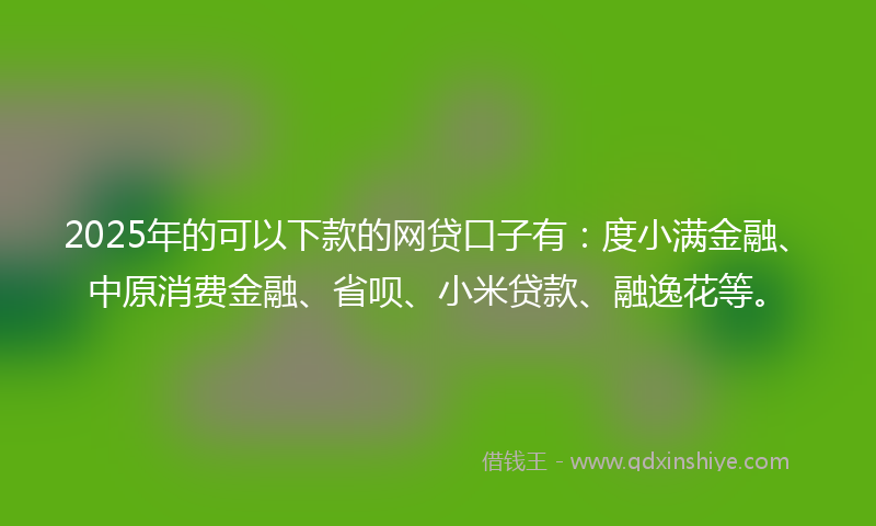 2025年的可以下款的网贷口子有：度小满金融、中原消费金融、省呗、小米贷款、融逸花等。
