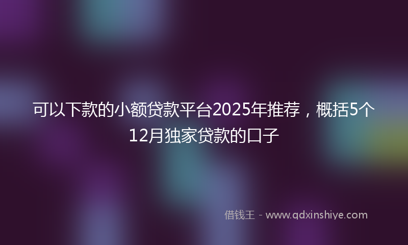 可以下款的小额贷款平台2025年推荐，概括5个12月独家贷款的口子