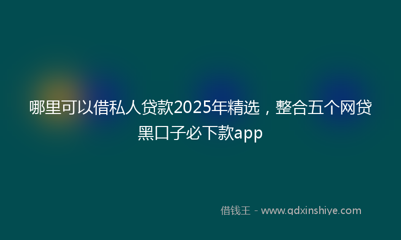 哪里可以借私人贷款2025年精选，整合五个网贷黑口子必下款app