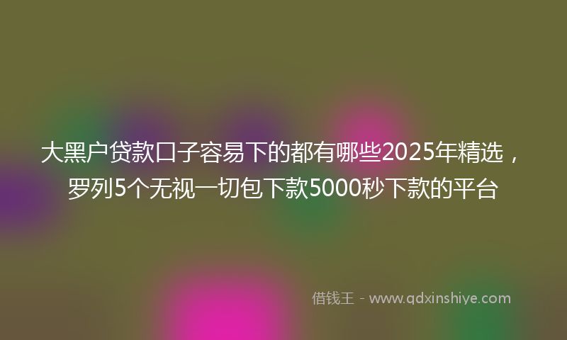 大黑户贷款口子容易下的都有哪些2025年精选，罗列5个无视一切包下款5000秒下款的平台