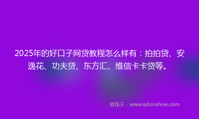 2025年的好口子网贷教程怎么样有：拍拍贷、安逸花、功夫贷、东方汇、维信卡卡贷等。