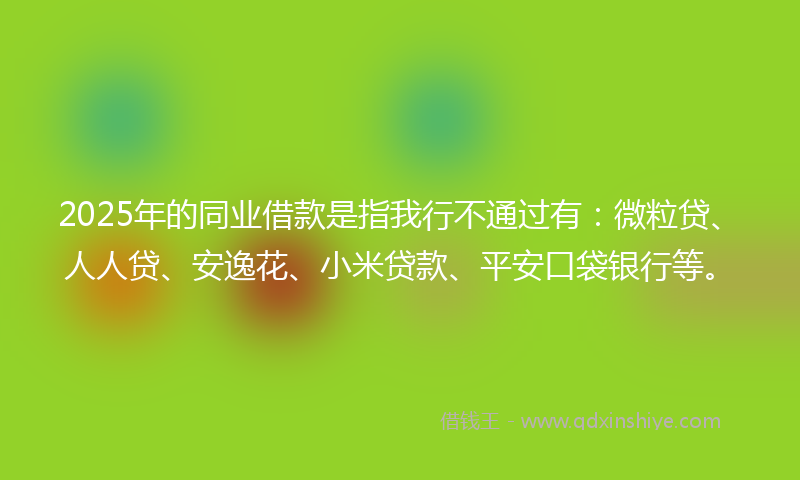 2025年的同业借款是指我行不通过有：微粒贷、人人贷、安逸花、小米贷款、平安口袋银行等。