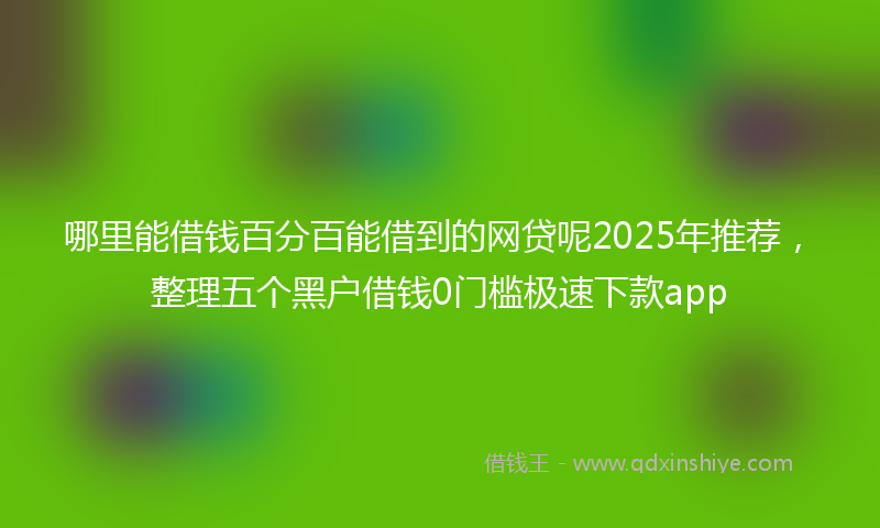 哪里能借钱百分百能借到的网贷呢2025年推荐，整理五个黑户借钱0门槛极速下款app