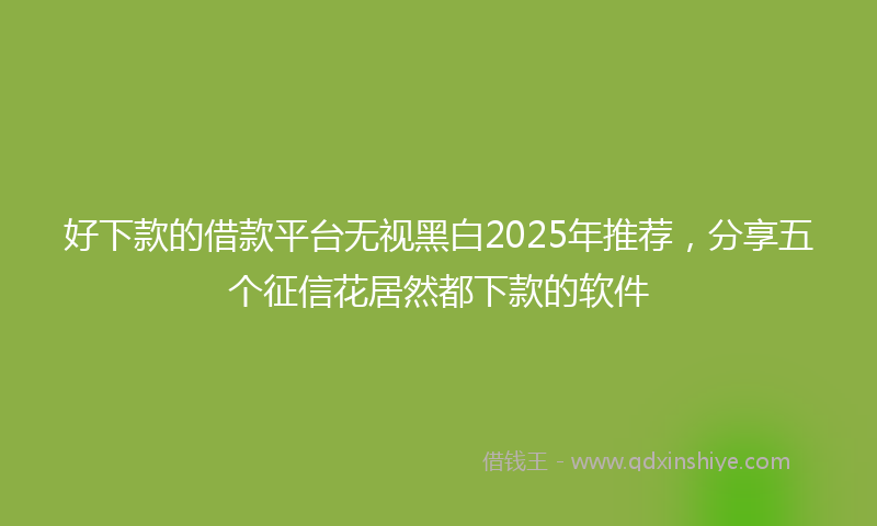 好下款的借款平台无视黑白2025年推荐，分享五个征信花居然都下款的软件