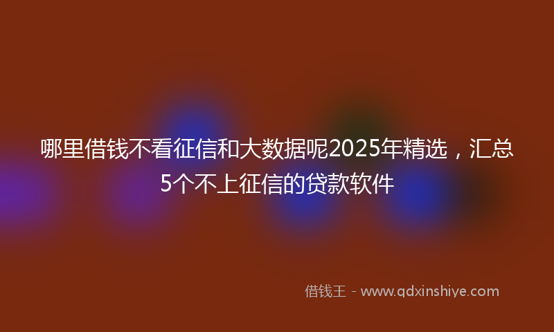 哪里借钱不看征信和大数据呢2025年精选，汇总5个不上征信的贷款软件