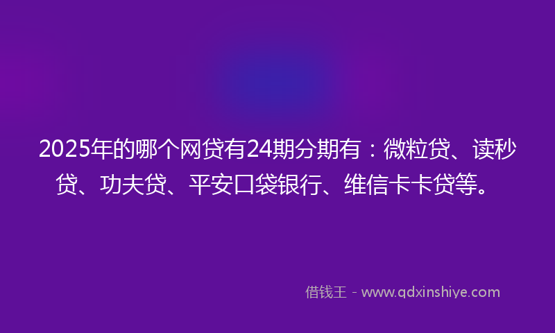 2025年的哪个网贷有24期分期有：微粒贷、读秒贷、功夫贷、平安口袋银行、维信卡卡贷等。