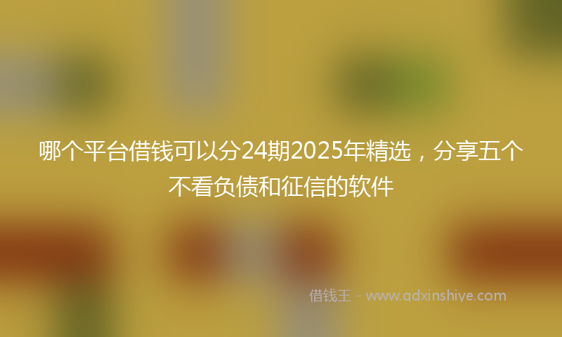 哪个平台借钱可以分24期2025年精选，分享五个不看负债和征信的软件