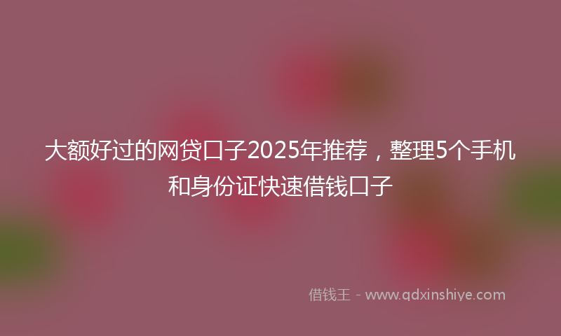 大额好过的网贷口子2025年推荐，整理5个手机和身份证快速借钱口子
