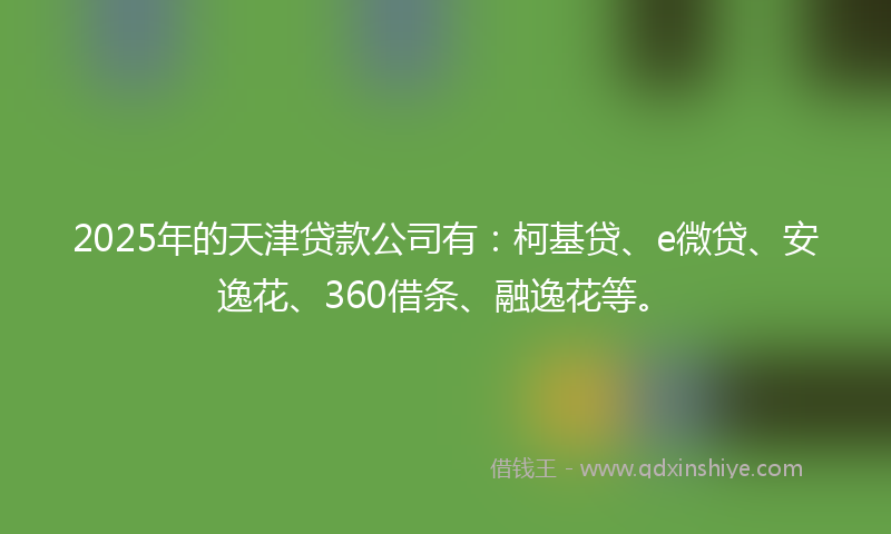 2025年的天津贷款公司有：柯基贷、e微贷、安逸花、360借条、融逸花等。