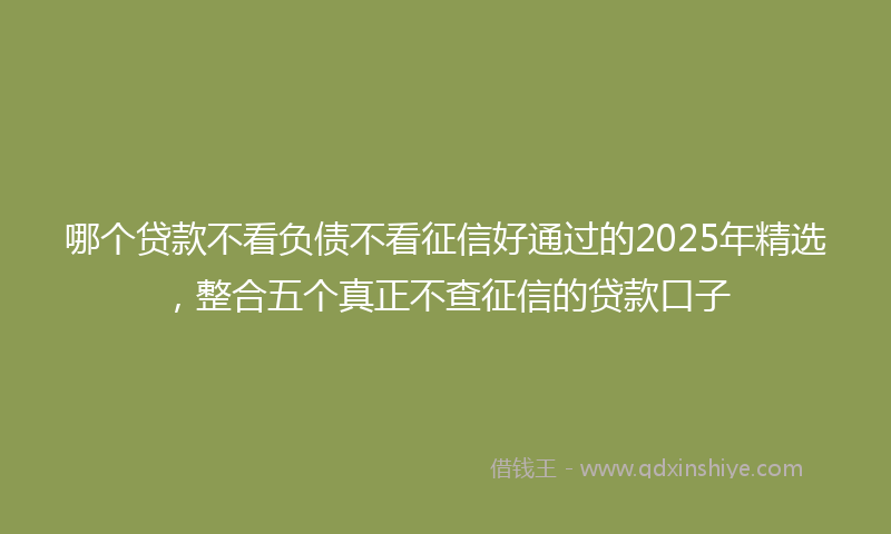 哪个贷款不看负债不看征信好通过的2025年精选，整合五个真正不查征信的贷款口子