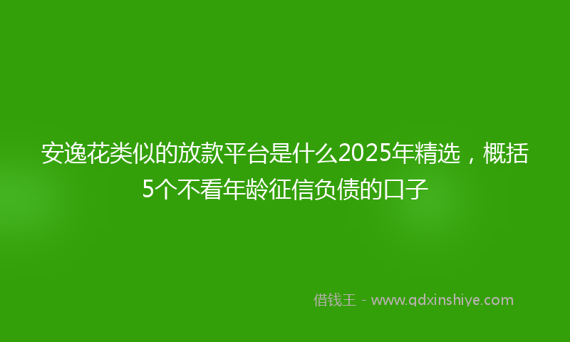 安逸花类似的放款平台是什么2025年精选，概括5个不看年龄征信负债的口子