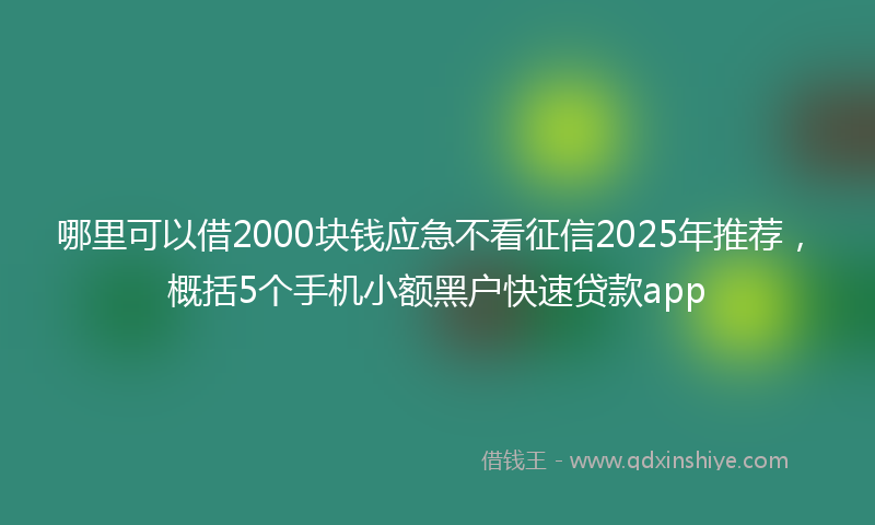 哪里可以借2000块钱应急不看征信2025年推荐，概括5个手机小额黑户快速贷款app