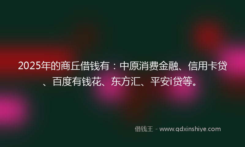 2025年的商丘借钱有：中原消费金融、信用卡贷、百度有钱花、东方汇、平安i贷等。