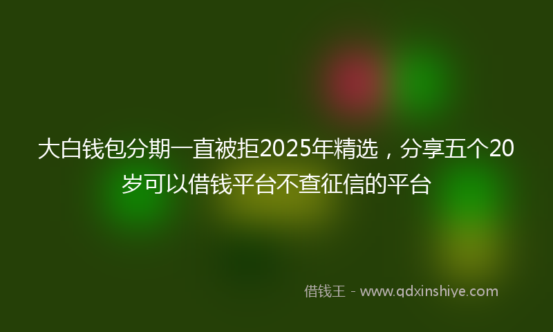 大白钱包分期一直被拒2025年精选，分享五个20岁可以借钱平台不查征信的平台