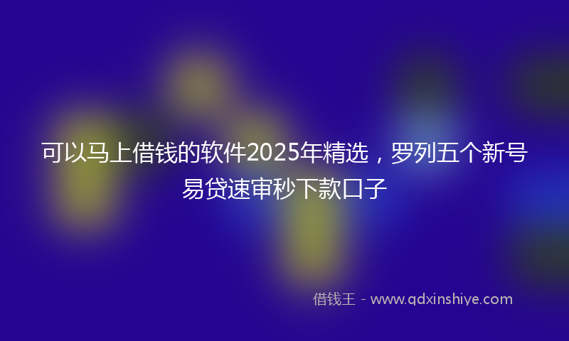 可以马上借钱的软件2025年精选，罗列五个新号易贷速审秒下款口子