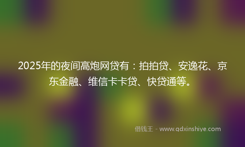 2025年的夜间高炮网贷有：拍拍贷、安逸花、京东金融、维信卡卡贷、快贷通等。