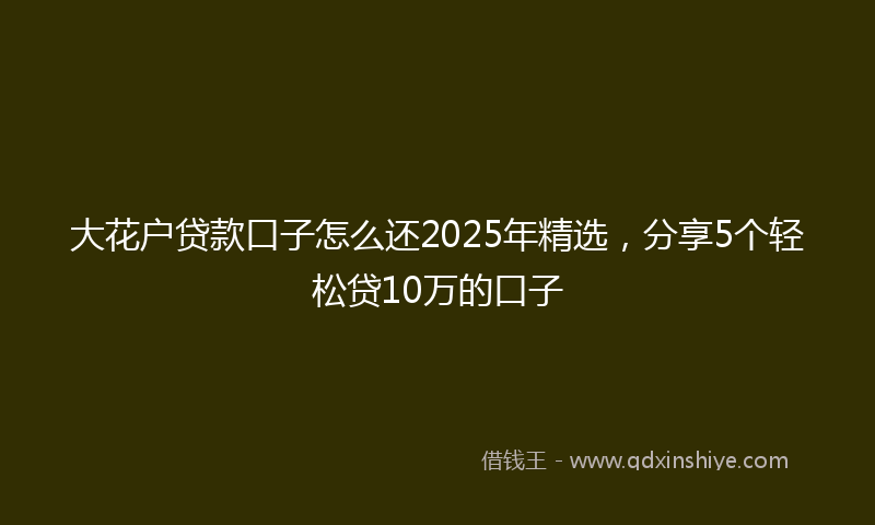 大花户贷款口子怎么还2025年精选，分享5个轻松贷10万的口子